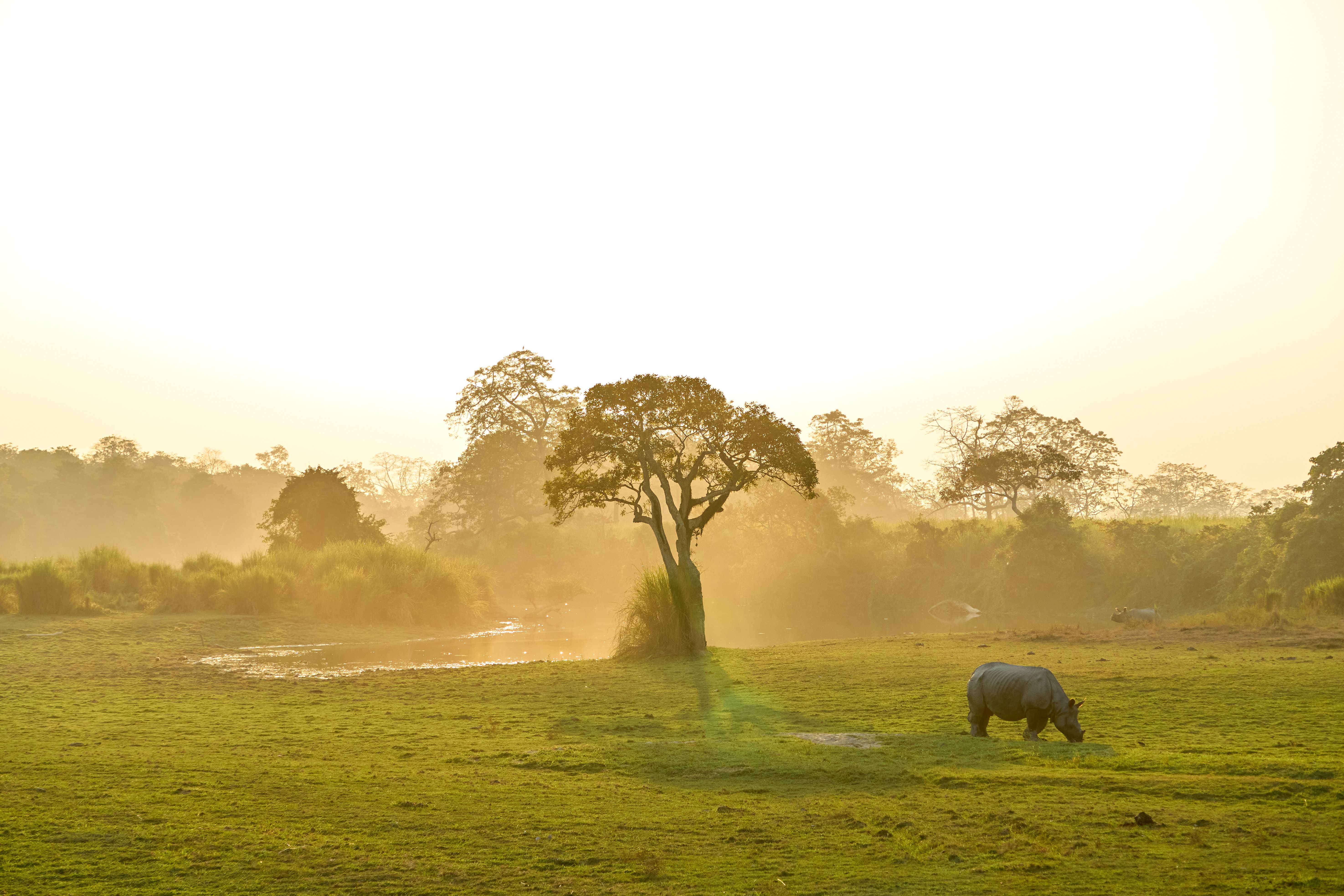 Chitwan