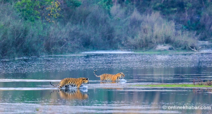 Bardia National Park